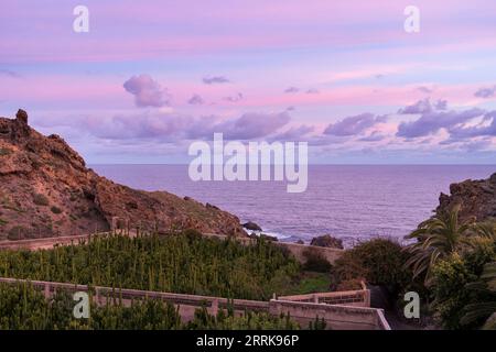 Teneriffa, Kanarische Insel, felsige Küste in der Nähe von Icod de los Vinos, abendliche Atmosphäre, Meerblick, Kakteenplantage Stockfoto