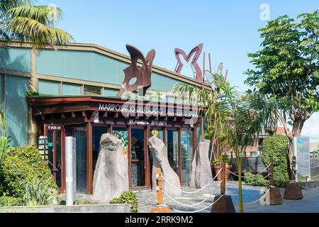 Teneriffa, Icod de los Vinos, Mariposario del Drago, Schmetterlingshaus Stockfoto