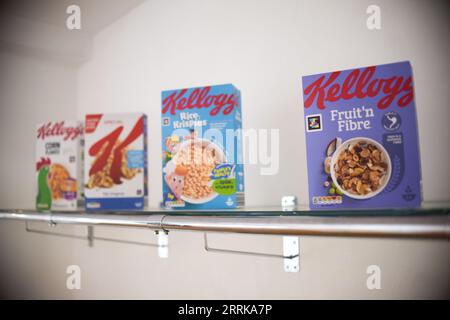 „The Kellogg’s Reductive Art Exhibition - A Story of Salt and Sugar“, eröffnet am 8. Und 9. September auf Gallery@oxo. Die Ausstellung ist perfekt für Kunstliebhaber und Familien und zeigt Kunstwerke, die vollständig aus Salz und Zucker hergestellt sind. Dieses einzigartige Erlebnis ist nur für eine begrenzte Zeit geöffnet und umfasst eine Vielzahl von Zucker- und Salzskulpturen, Salzskizzen und Salzwasseranimationen, die alle von einer Reihe bekannter Künstler erstellt wurden. Kellogg’s hat die letzten 10 Jahre damit verbracht, seine Lebensmittel zu verbessern, damit sie für die Menschen, die Gemeinschaft und den Planeten besser sind. Stockfoto