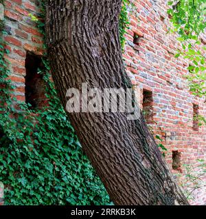 Burgwall aus Backsteinmauern auf Schloss Friedberg in Bayern, Stockfoto