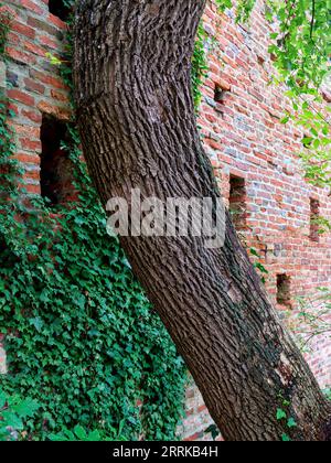 Burgwall aus Backsteinmauern auf Schloss Friedberg in Bayern, Stockfoto