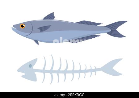 Fisch mit Fischknochen, auf weißem Hintergrund. Organische Abfälle. Vektorillustration Stock Vektor