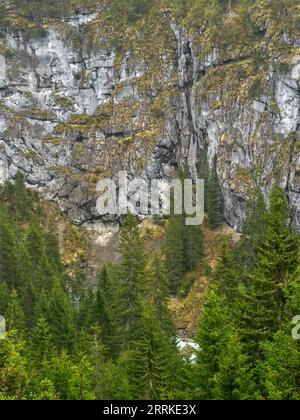 Am Schwabwannetobel unterhalb der Schäferköpfe in den Lechtaler Alpen. Stockfoto