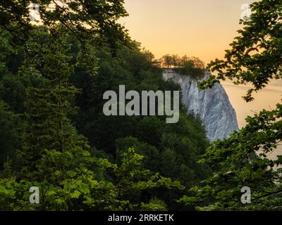 Abenddämmerung im Nationalpark Jasmund in der Nähe des Nationalparkzentrums am Königsstuhl. Stockfoto