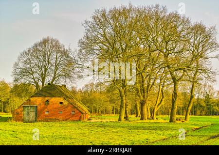 Altes Bauernhaus inmitten von Wiesen, Eichen dienten als Windschutz und für die Holzgewinnung ihrer Bewohner Stockfoto