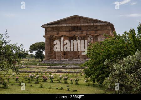 Archäologischer Park Paestum, schöne historische Ruinen von Tempeln aus der römischen Zeit, Kampanien, Salerno, Italien Stockfoto