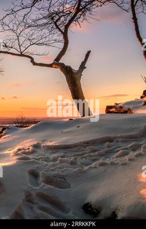 Schöne Winterlandschaft auf dem Jag im Taunus, Winter im Wald, schöner Blick über die Natur Deutschlands Stockfoto