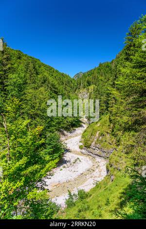 Österreich, Tirol, Kitzbühel, Erpfendorf, Griesbachklamm Stockfoto