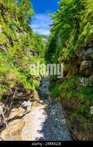 Österreich, Tirol, Kitzbühel, Erpfendorf, Griesbachklamm Stockfoto