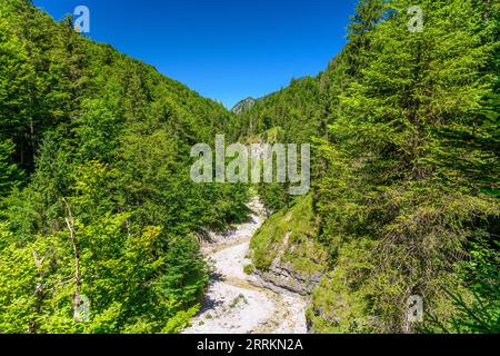 Österreich, Tirol, Kitzbühel, Erpfendorf, Griesbachklamm Stockfoto