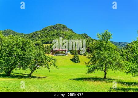 Österreich, Tirol, Kitzbühel, Erpfendorf, Blick auf das Hotel der Lärchenhof Stockfoto