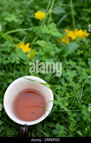 Eine Tasse Tee im Gras mit gelben Blüten im Hintergrund Stockfoto