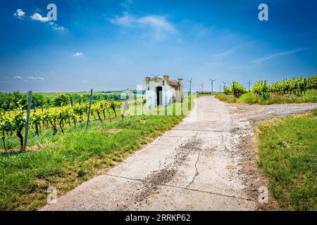 Trullo auf dem alten Feldweg bei Monsheim in Rheinhessen, ein Schutz bei widrigen Witterungsbedingungen, der dem apulischen Trulli nachempfunden ist Stockfoto