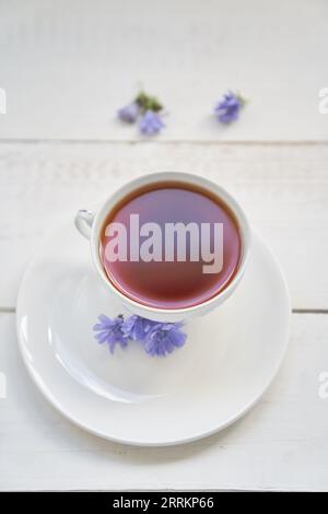 Blick von oben auf das Zichoriengetränk. Cichorium intybus, dessen Blüten normalerweise blaue Seeleute, Zichorien, Kaffeegras oder Succorium genannt werden, ist eine krautige Staudenpflanze. Hochwertige Fotos Stockfoto