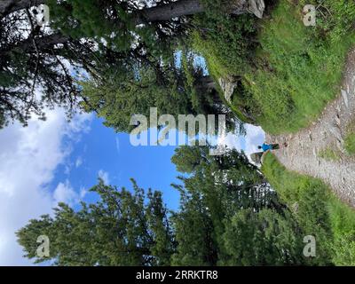 Junge auf Kiefernweg auf Patscherkofel, Wanderweg, Steig, Innsbruck, Inntal, Tux Alps, Nordkette, Hauptstadt Tirol, Sonne, Berge, Wolken, Natur, Aktivität, Patsch, Lans, Rinn, Tirol, Österreich Stockfoto