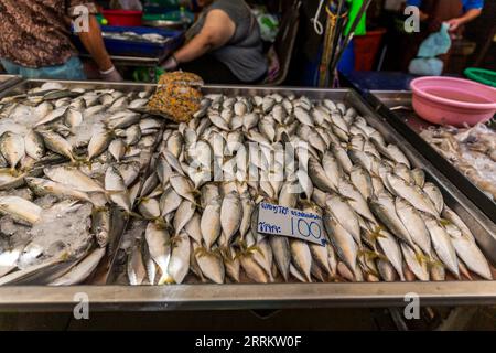 Verschiedene Fischarten, Verkauf von Lebensmitteln auf Schienen, Maeklong Railway Market, Talad Rom Hub Railway Market, in der Nähe von Bangkok, Samut Songkhram, Thailand, Asien. Stockfoto