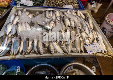 Verschiedene Fischarten, Verkauf von Lebensmitteln auf Schienen, Maeklong Railway Market, Talad Rom Hub Railway Market, in der Nähe von Bangkok, Samut Songkhram, Thailand, Asien. Stockfoto