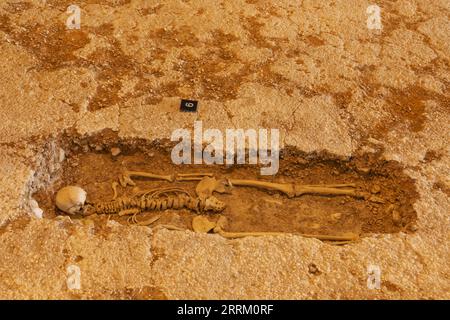 England, Sussex, West Sussex, Chichester, Fishbourne Roman Palace, Das Menschliche Skelett Bleibt Übrig Stockfoto