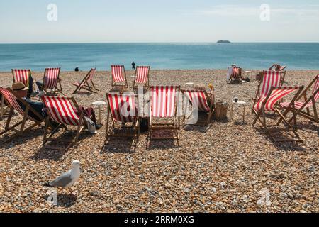 England, Sussex, East Sussex, Seaford, verschiedene Liegestühle am Strand Stockfoto