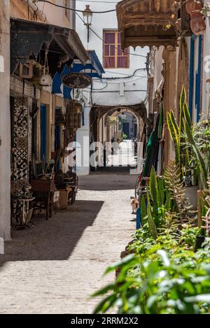 Idyllische Gasse in der Medina von Essaouira, Marokko Stockfoto