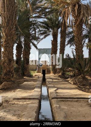 Spaziergang durch den Igrane-Garten in der Nähe von Merzouga, einer typischen landwirtschaftlichen Oase mit kleinen Kanälen, Marokko Stockfoto