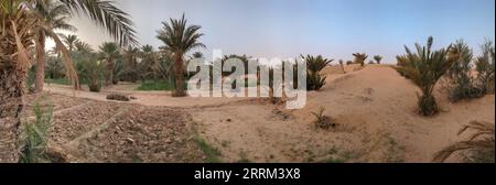 Spaziergang durch den Igrane-Garten in der Nähe von Merzouga, einer typischen landwirtschaftlichen Oase mit kleinen Kanälen, Marokko Stockfoto