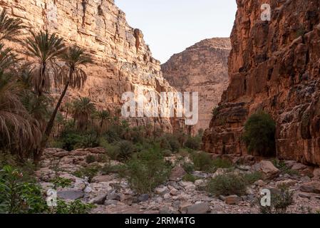 Wanderung durch den berühmten Amtoudi Canyon im Anti-Atlas, Marokko Stockfoto