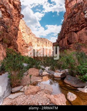 Wanderung durch den berühmten Amtoudi Canyon im Anti-Atlas, Marokko Stockfoto