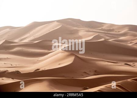 Malerische Dünen in der Wüste Erg Chebbi, Teil der Afrikanischen Sahara, Marokko Stockfoto