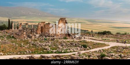 Berühmte Ruinen des Forums in Volubilis, einer alten römischen Stadt in Marokko, Nordafrika Stockfoto