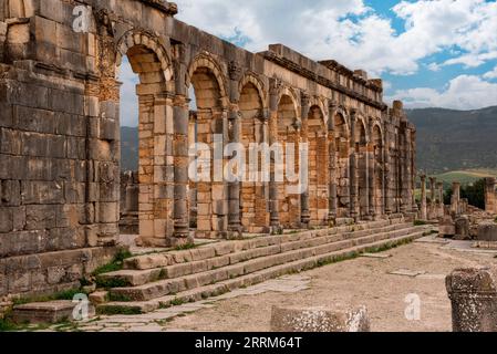 Berühmte Ruinen des Forums in Volubilis, einer alten römischen Stadt in Marokko, Nordafrika Stockfoto