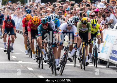 Sprint endet beim Tour of Britain-Radrennen in der Phase 6 am Ziel in Harlow, Essex, Großbritannien. Bunch Sprint. Fahrer, die über die Linie sprinten Stockfoto