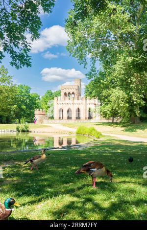 Wiesbaden, künstliche Ruine Mosburg im Park des Schlosses Biebrich im Rheingau, Hessen, Deutschland Stockfoto