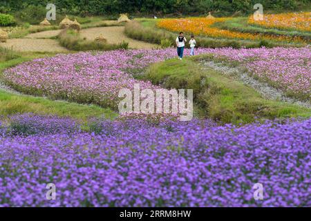 221007 -- GUIYANG, 7. Oktober 2022 -- Touristen besuchen ein Blumenfeld in einer umfassenden landwirtschaftlichen Basis in der Qiantao Gemeinde des Bezirks Huaxi, Guiyang, Südwestchinesische Provinz Guizhou, 6. Oktober 2022. In den letzten Jahren wurden große Anstrengungen unternommen, um den landwirtschaftlichen Tourismus im Bezirk Huaxi von Guiyang zu entwickeln. Im Rahmen der Dynamik des ländlichen Raums haben die Behörden daran gearbeitet, die Infrastruktur für den ländlichen Tourismus zu verbessern und gleichzeitig Industrien mit lokalen Merkmalen zu fördern. CHINA-GUIZHOU-GUIYANG-FLOWER CULTIVATION-TOURISM CN YANGXWENBIN PUBLICATIONXNOTXINXCHN Stockfoto