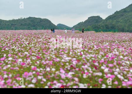 221007 -- GUIYANG, 7. Oktober 2022 -- Touristen besuchen ein Blumenfeld in einer umfassenden landwirtschaftlichen Basis in der Qiantao Gemeinde des Bezirks Huaxi, Guiyang, Südwestchinesische Provinz Guizhou, 6. Oktober 2022. In den letzten Jahren wurden große Anstrengungen unternommen, um den landwirtschaftlichen Tourismus im Bezirk Huaxi von Guiyang zu entwickeln. Im Rahmen der Dynamik des ländlichen Raums haben die Behörden daran gearbeitet, die Infrastruktur für den ländlichen Tourismus zu verbessern und gleichzeitig Industrien mit lokalen Merkmalen zu fördern. CHINA-GUIZHOU-GUIYANG-FLOWER CULTIVATION-TOURISM CN YANGXWENBIN PUBLICATIONXNOTXINXCHN Stockfoto