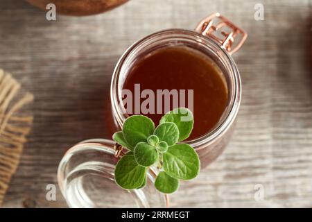 Ein Glas hausgemachter Plectranthus amboinicus Sirup mit frischer Pflanze, Blick von oben Stockfoto