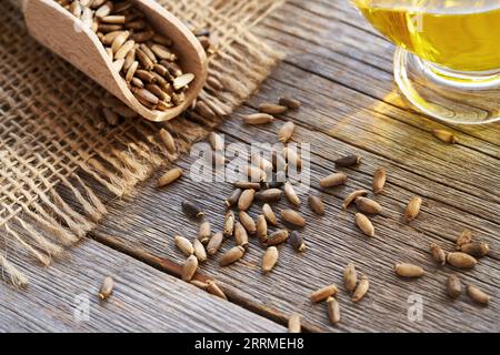 Mariendistelsamen, die auf einem Holztisch verschüttet wurden, mit Öl im Hintergrund Stockfoto