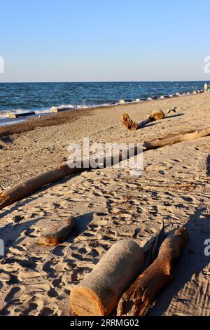 Der Sandstrand mit Treibholz im Clifton Beach Club in Lakewood, Ohio Stockfoto
