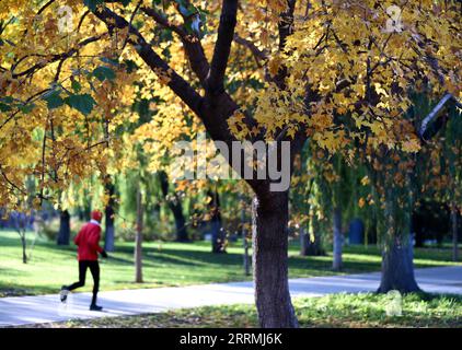 221101 -- PEKING, 1. November 2022 -- dieses Foto, das am 1. November 2022 aufgenommen wurde, zeigt die Herbstlandschaft in der Nähe des China Millennium Monument in Peking, der Hauptstadt Chinas. CHINA-PEKING-HERBSTLANDSCHAFT CN LuoxXiaoguang PUBLICATIONxNOTxINxCHN Stockfoto