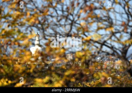 221101 -- PEKING, 1. November 2022 -- dieses Foto, das am 1. November 2022 aufgenommen wurde, zeigt die Herbstlandschaft des Jingshan Parks in Peking, der Hauptstadt Chinas. CHINA-PEKING-HERBSTLANDSCHAFT CN LuoxXiaoguang PUBLICATIONxNOTxINxCHN Stockfoto