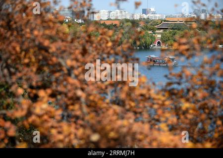 221101 -- PEKING, 1. November 2022 -- dieses Foto, das am 1. November 2022 aufgenommen wurde, zeigt die Herbstlandschaft des Beihai Parks in Peking, der Hauptstadt Chinas. CHINA-PEKING-HERBSTLANDSCHAFT CN LuoxXiaoguang PUBLICATIONxNOTxINxCHN Stockfoto