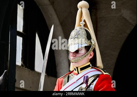 Frauenwachtschaft, Haushaltskavallerie, Pferdewachtparade, London, Großbritannien Stockfoto