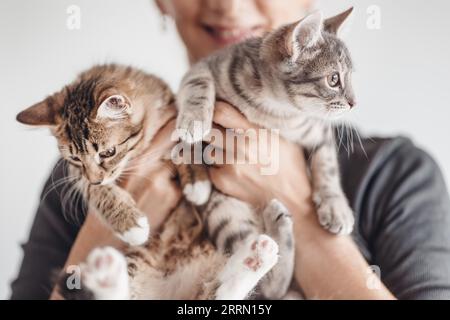 Frau, die zwei hübsche Kätzchen in der Hand hält. Stockfoto