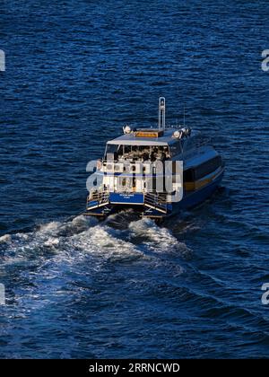 Sydney Australien / Eine Sydney Fast Ferry Ocean Wave fährt in den Strandvorort Manly, Stockfoto