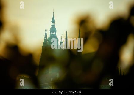 Details von St. Die Kathedrale von Vitus bei Sonnenuntergang schoss im Herbst in Prag, Tschechische Republik, durch das Laub. Stockfoto