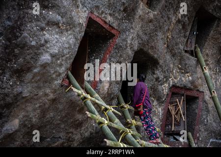 Nord-Toraja, Indonesien. September 2023. Ein Familienmitglied besucht die Gräber von Verwandten während eines traditionellen Rituals namens „Manene“ auf dem Lokomata-Steinfriedhof. Das Ritual findet alle drei Jahre statt, wenn sich Familienmitglieder versammeln, um die Gräber zu reinigen und die Kleidung ihrer verstorbenen Verwandten zu ändern, um ihre Geister zu ehren. Quelle: SOPA Images Limited/Alamy Live News Stockfoto