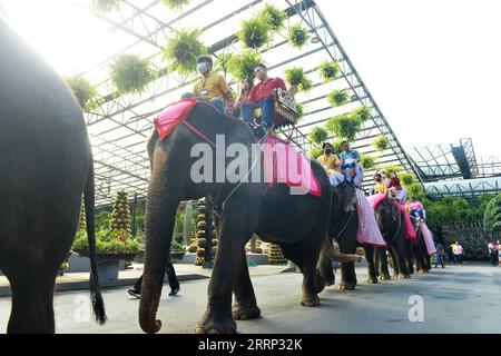 230214 -- PATTAYA, 14. Februar 2023 -- Paare besuchen eine besondere Elefantenhochzeit im Nong Nooch Tropical Garden in Pattaya, Thailand, 14. Februar 2023. THAILAND-PATTAYA-WEDDING-ELEPHANTS-VALENTINE S DAY RACHENXSAGEAMSAK PUBLICATIONXNOTXINXCHN Stockfoto