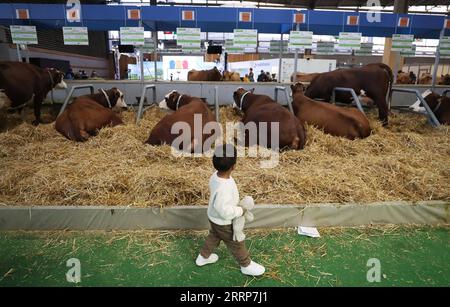 230228 -- PARIS, 28. Februar 2023 -- Ein Junge besucht die 59. Internationale Landwirtschaftsmesse im Messezentrum Porte de Versailles in Paris, Frankreich, 27. Februar 2023. Die Messe dauert bis zum 5. März. FRANKREICH-PARIS-LANDWIRTSCHAFTSMESSE GaoxJing PUBLICATIONxNOTxINxCHN Stockfoto