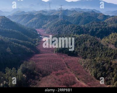 230302 -- HANGZHOU, 2. März 2023 -- dieses Luftbild, das am 28. Februar 2023 aufgenommen wurde, zeigt Kirschblüten, die in einem Tal im Miji-Dorf Lin in einem Bezirk in Hangzhou, der ostchinesischen Provinz Zhejiang, blühen. ZhejiangPictorialCHINA-ZHEJIANG-FRÜHLING-LANDSCHAFT CN XuxYu PUBLICATIONxNOTxINxCHN Stockfoto