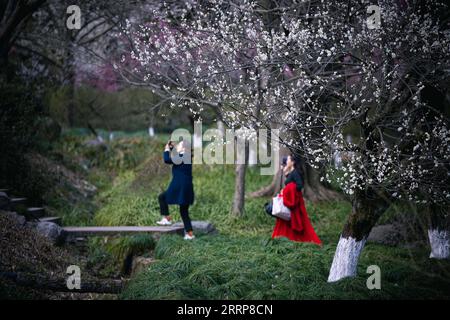 230302 -- HANGZHOU, 2. März 2023 -- Besucher machen Fotos im Hangzhou Botanical Garden in Hangzhou, ostchinesische Provinz Zhejiang, 28. Februar 2023. ZhejiangPictorialCHINA-ZHEJIANG-FRÜHLING-LANDSCHAFT CN JiangxHan PUBLICATIONxNOTxINxCHN Stockfoto